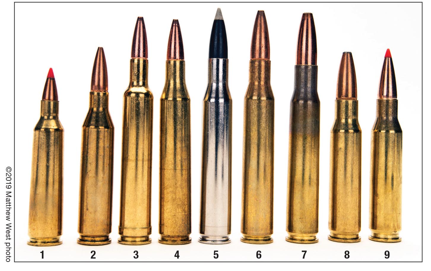 The Sporter was chambered for several cartridges that include the (1) .22-250 Remington, (2) .243 Winchester, (3) .240 Weatherby Magnum, (4) .25-06 Remington, (5) .270 Winchester, (6) .280 Remington, (7) .30-06, (8) .308 Winchester and the (9) 7mm-08 Remington.